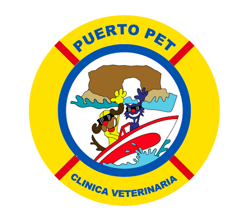 Puerto Pet Frutillar
