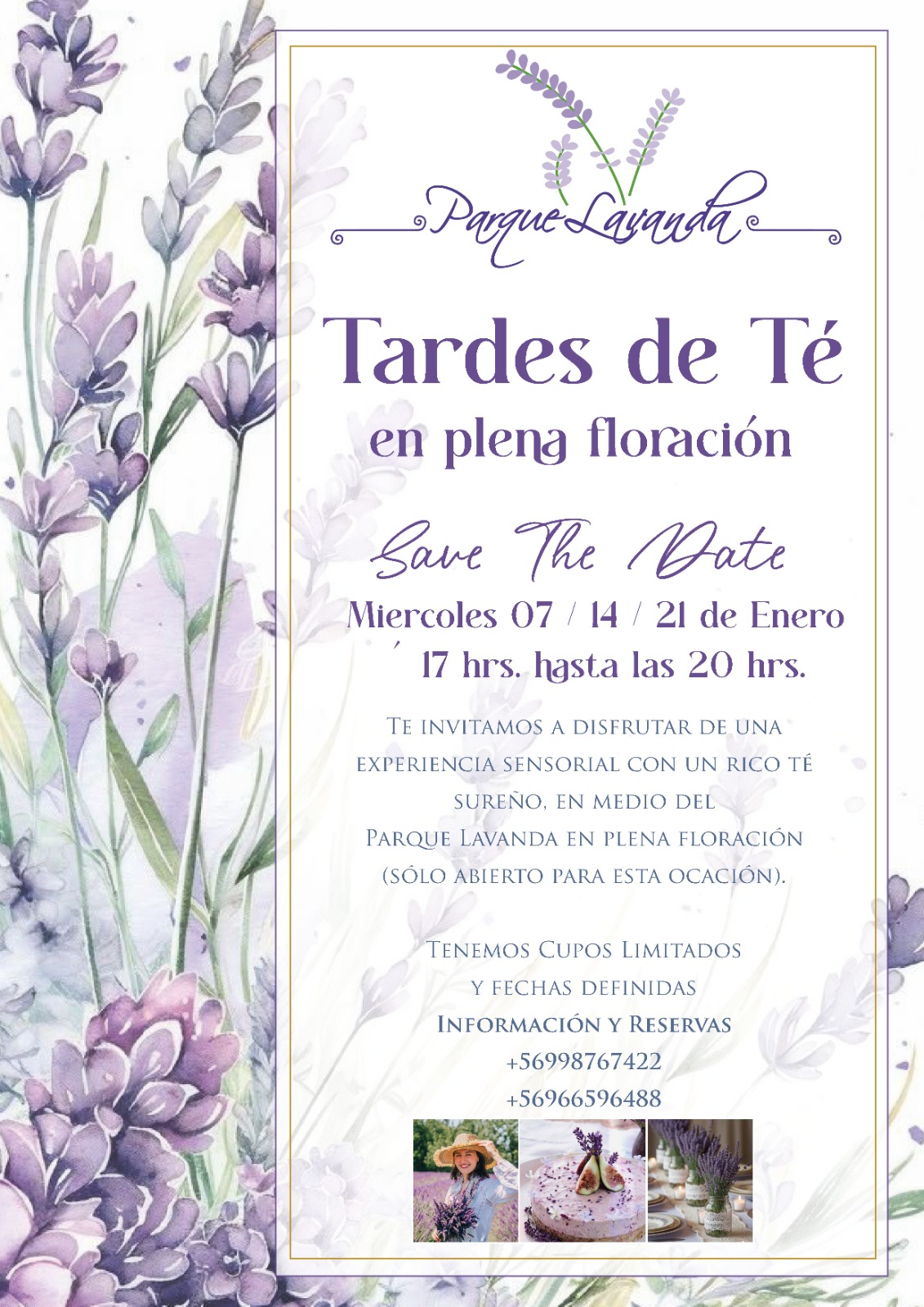 Tardes de Té en plena floración